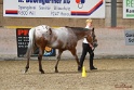 24-ApHC HIH_070
